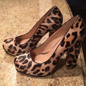 Cheetah print Steve Madden heels